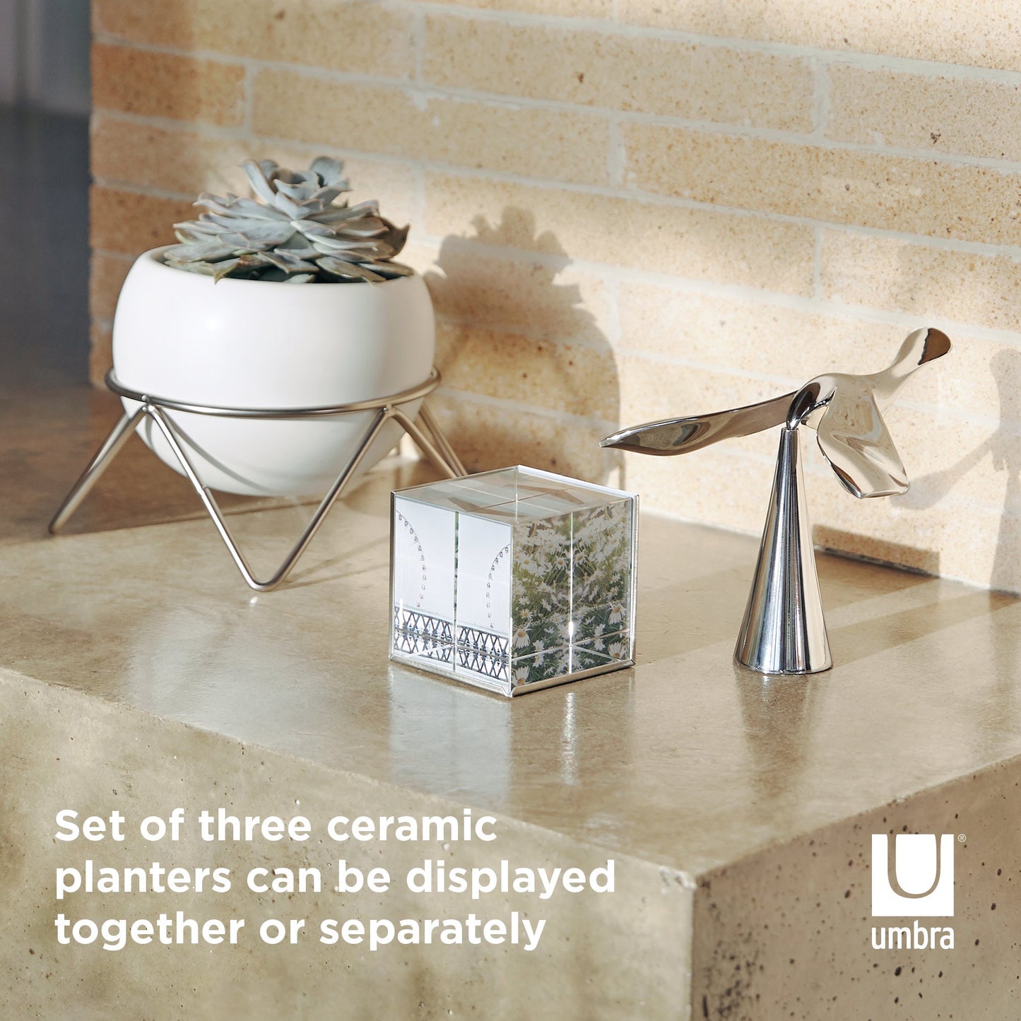 Potsy Planter (Set of 3) - White/Nickel