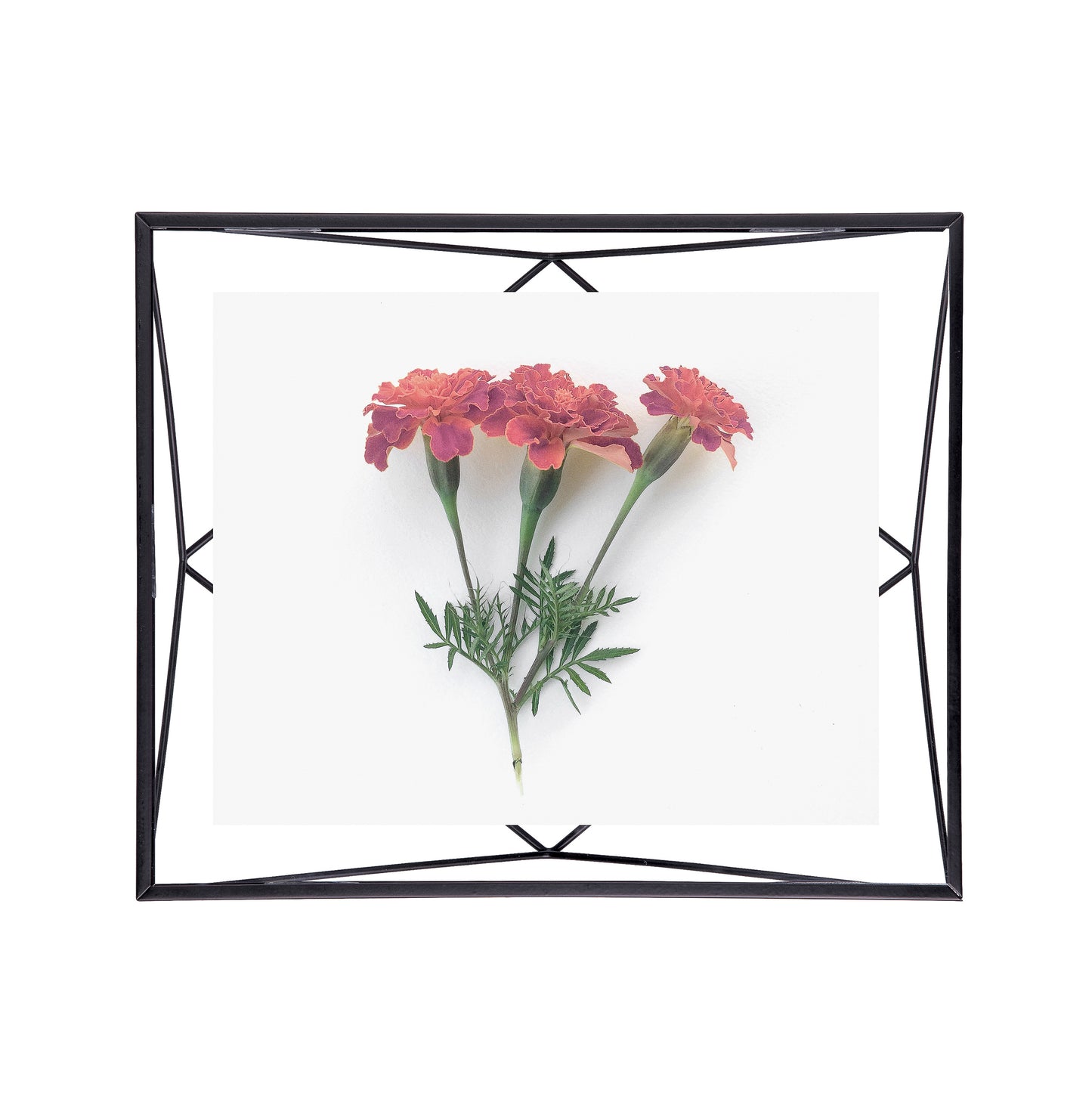 Prisma Picture Frame 8x10" - Black