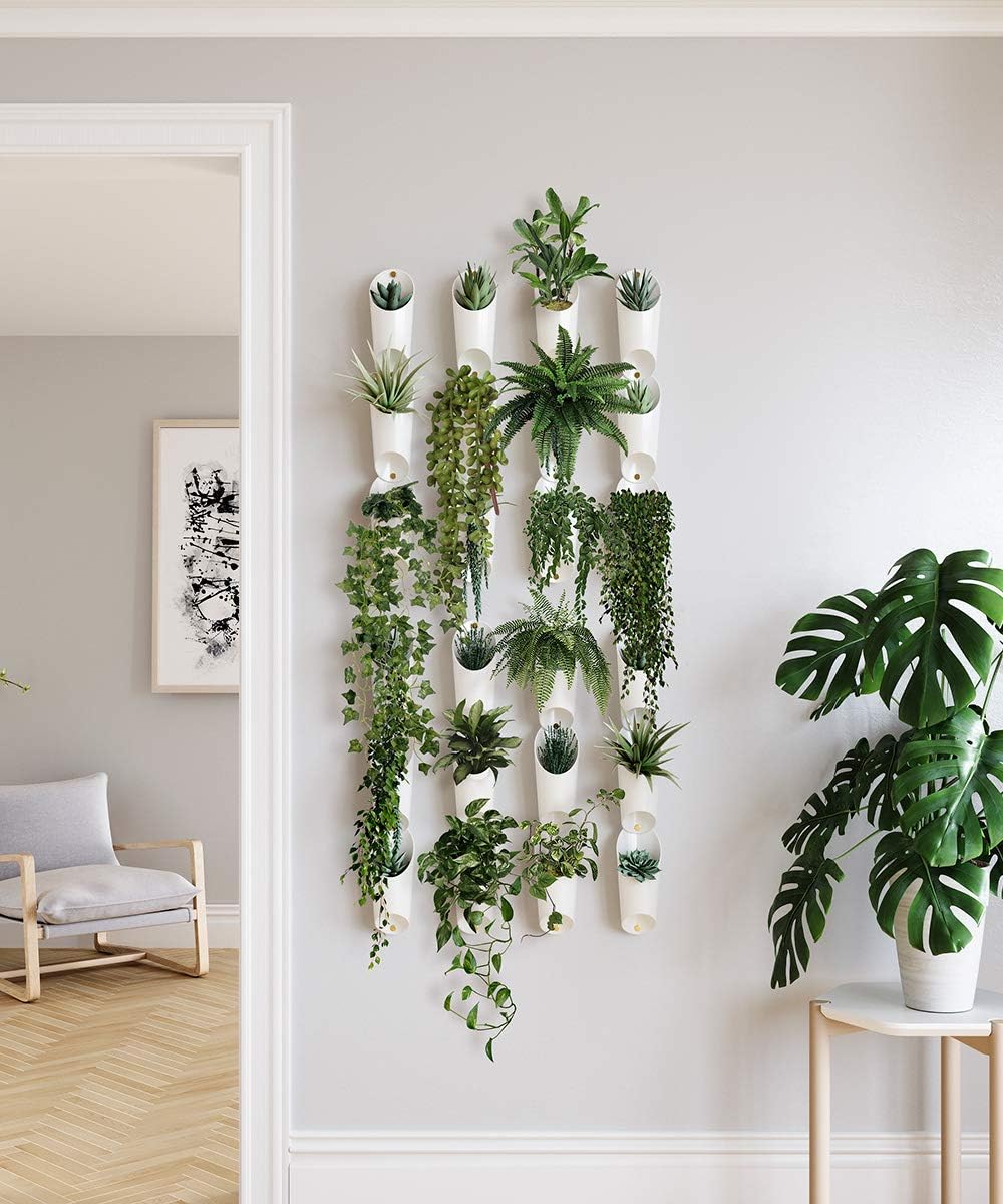 Floralink Wall Vessels