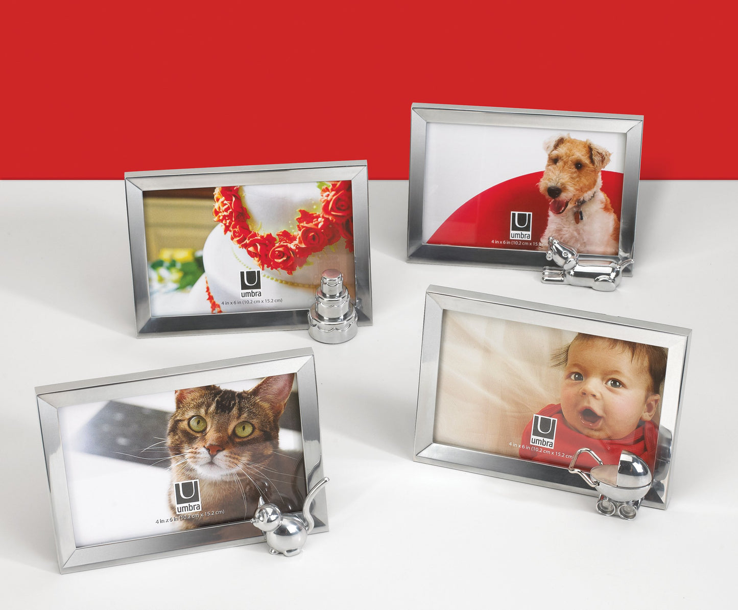 Memoire Dog Frame 4x6" - Chrome