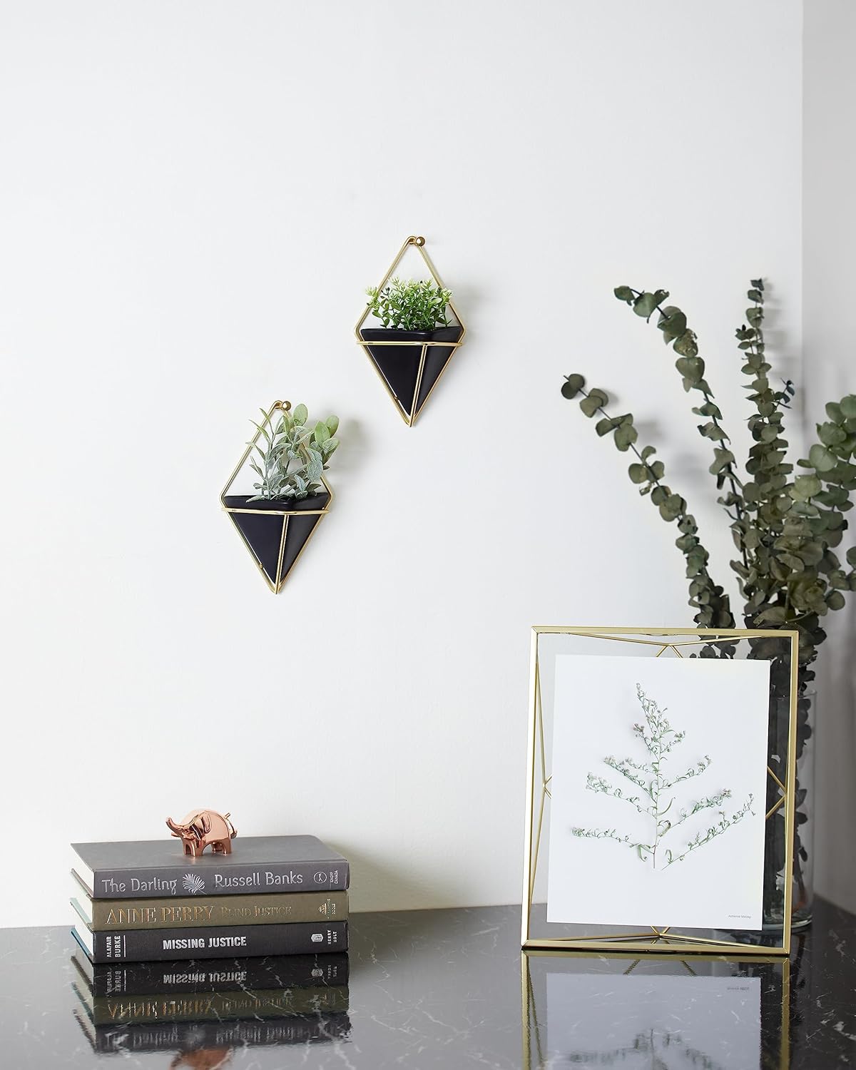 Trigg Wall Display (Set of 2) - Black/Brass