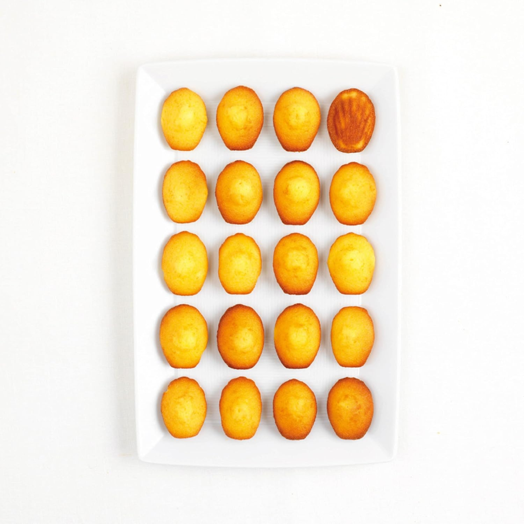 20 Mini Madeleine Baking Pan - Grey Translucent