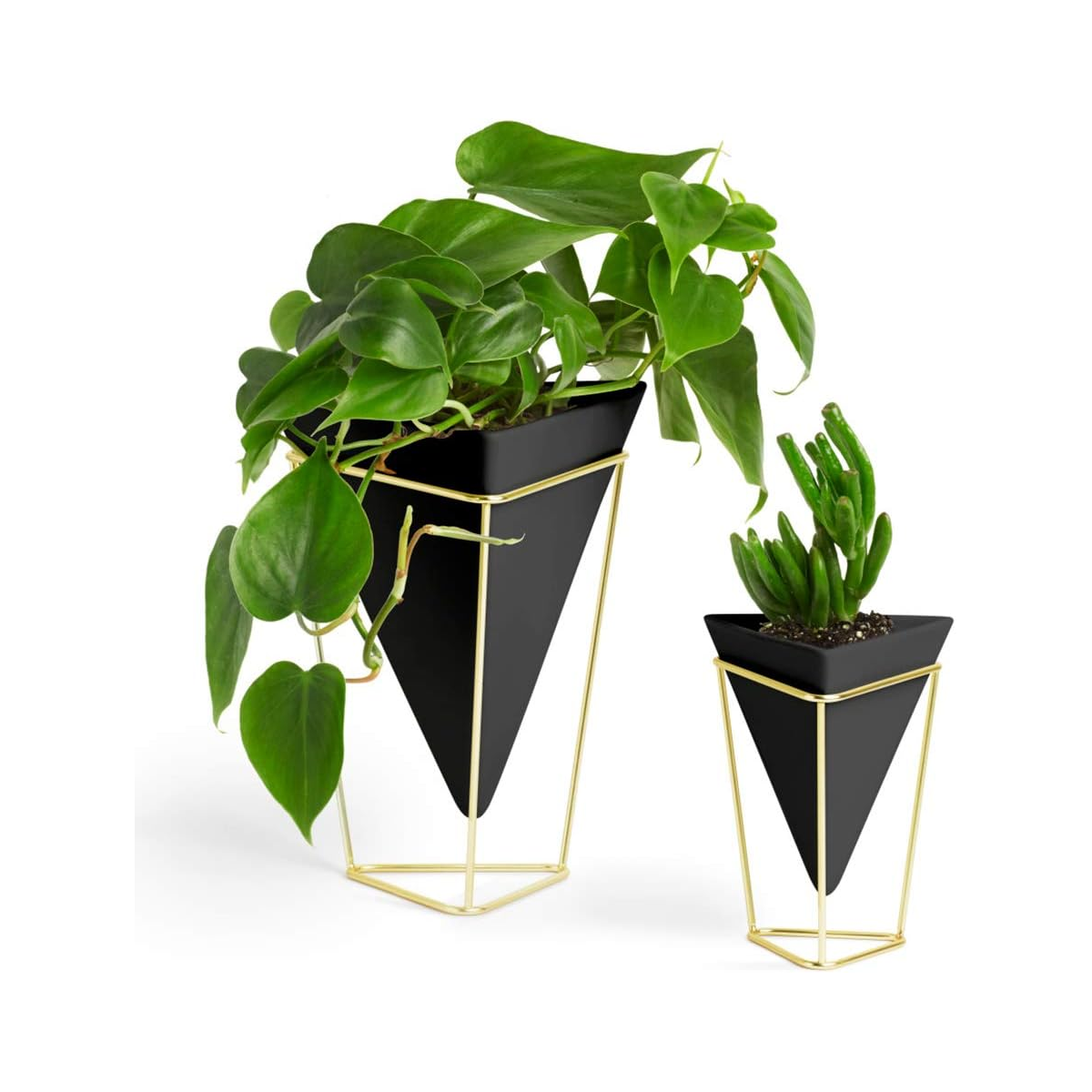 Trigg Tabletop Vessels (Set of 2) - Black/Brass