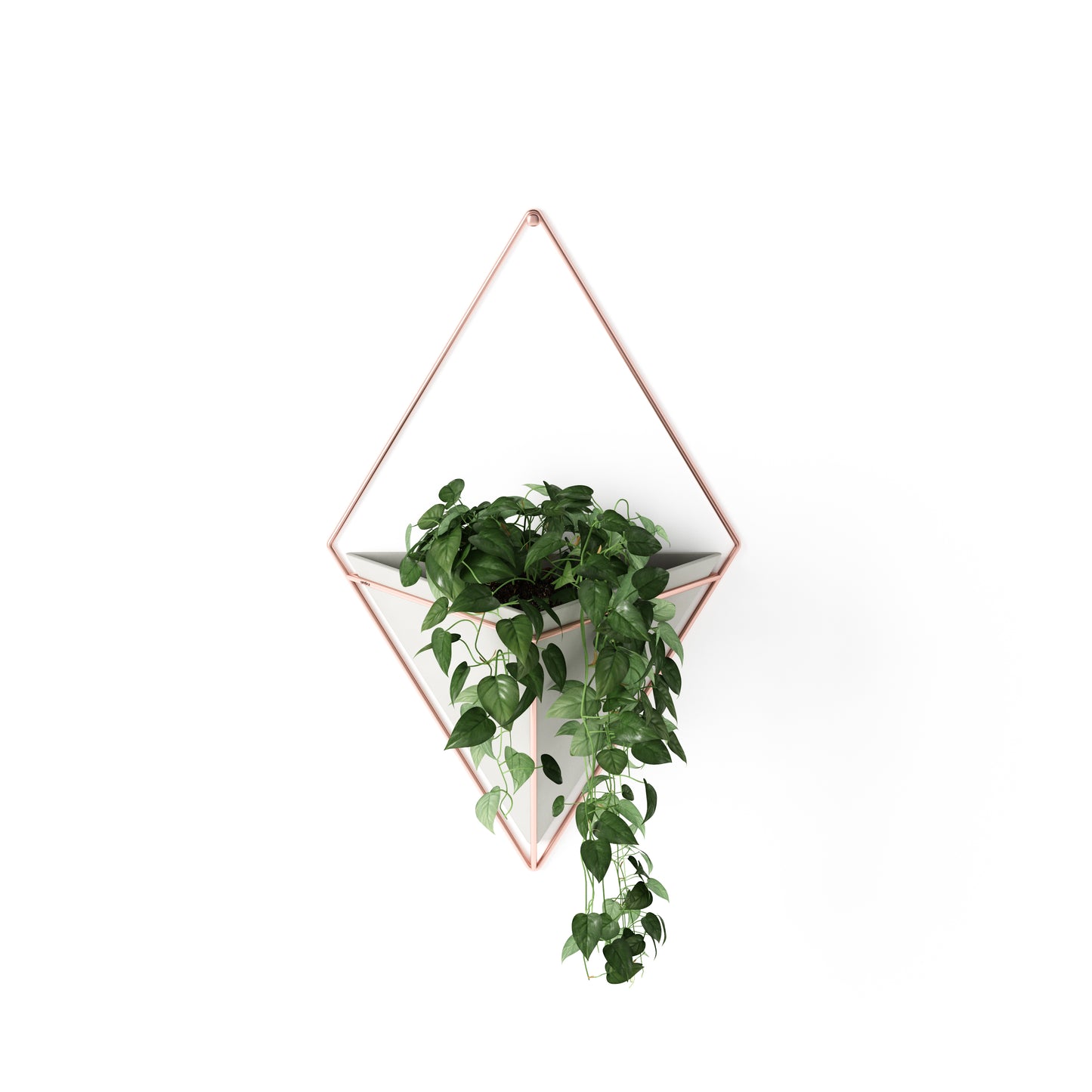 Trigg Wall Display (Large) - Concrete/Copper