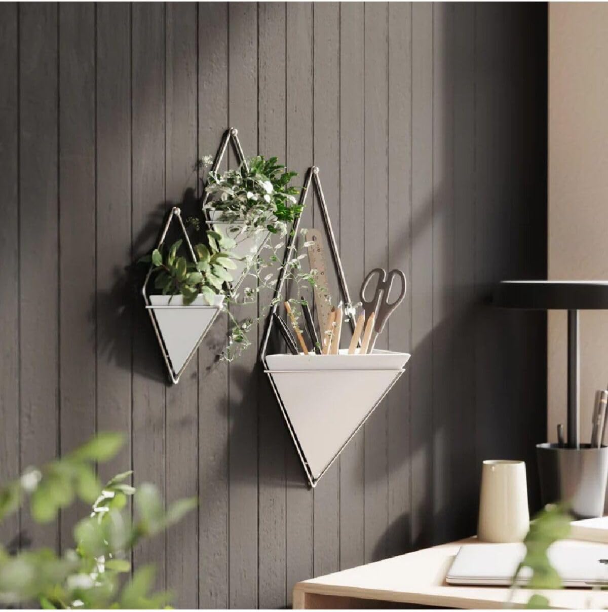 Trigg Wall Display (Set of 2) - White/Nickel