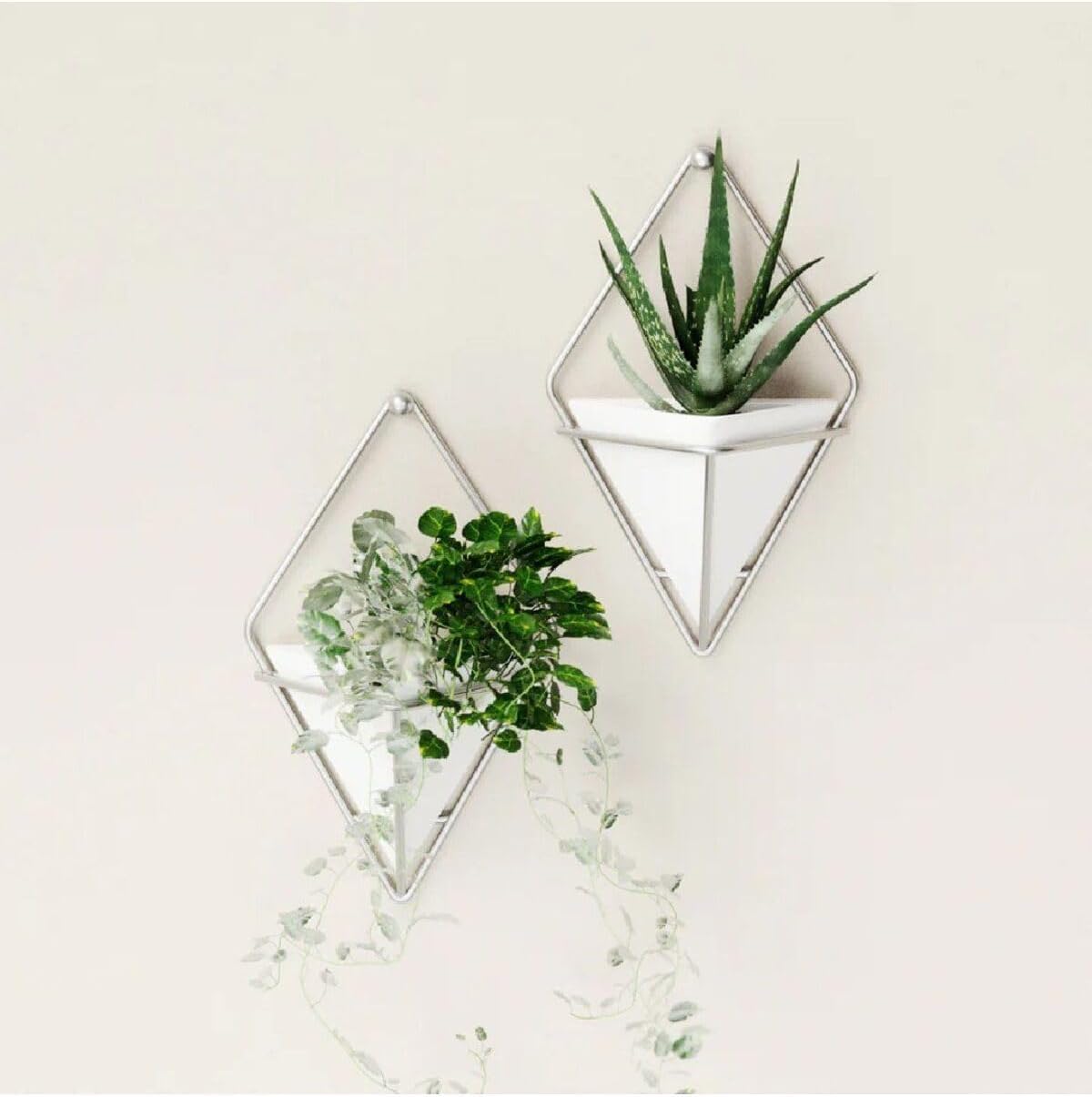 Trigg Wall Display (Set of 2) - White/Nickel
