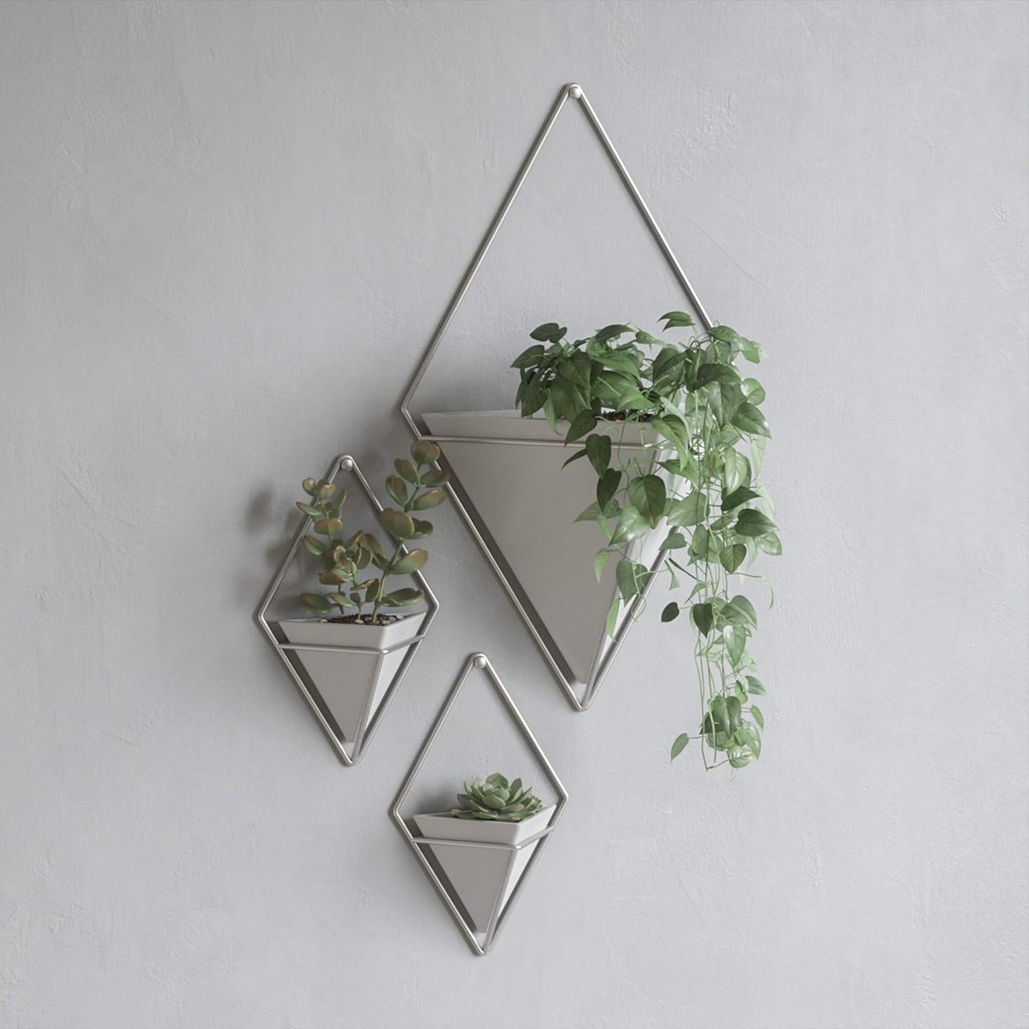 Trigg Wall Display - White/Nickel