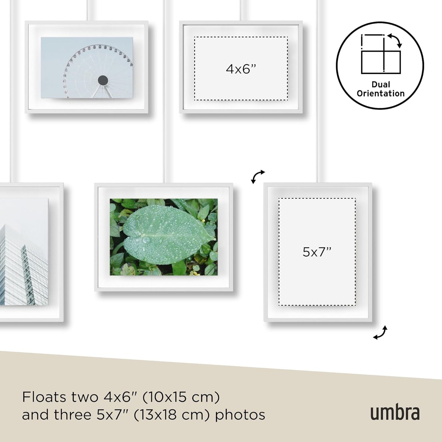 Exhibit Photo Display (5 Photos) - White