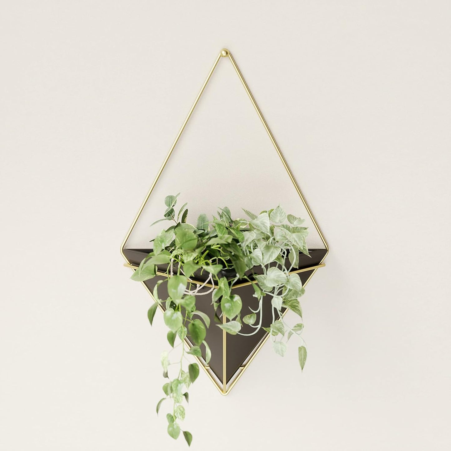Trigg Wall Display - Black/Brass