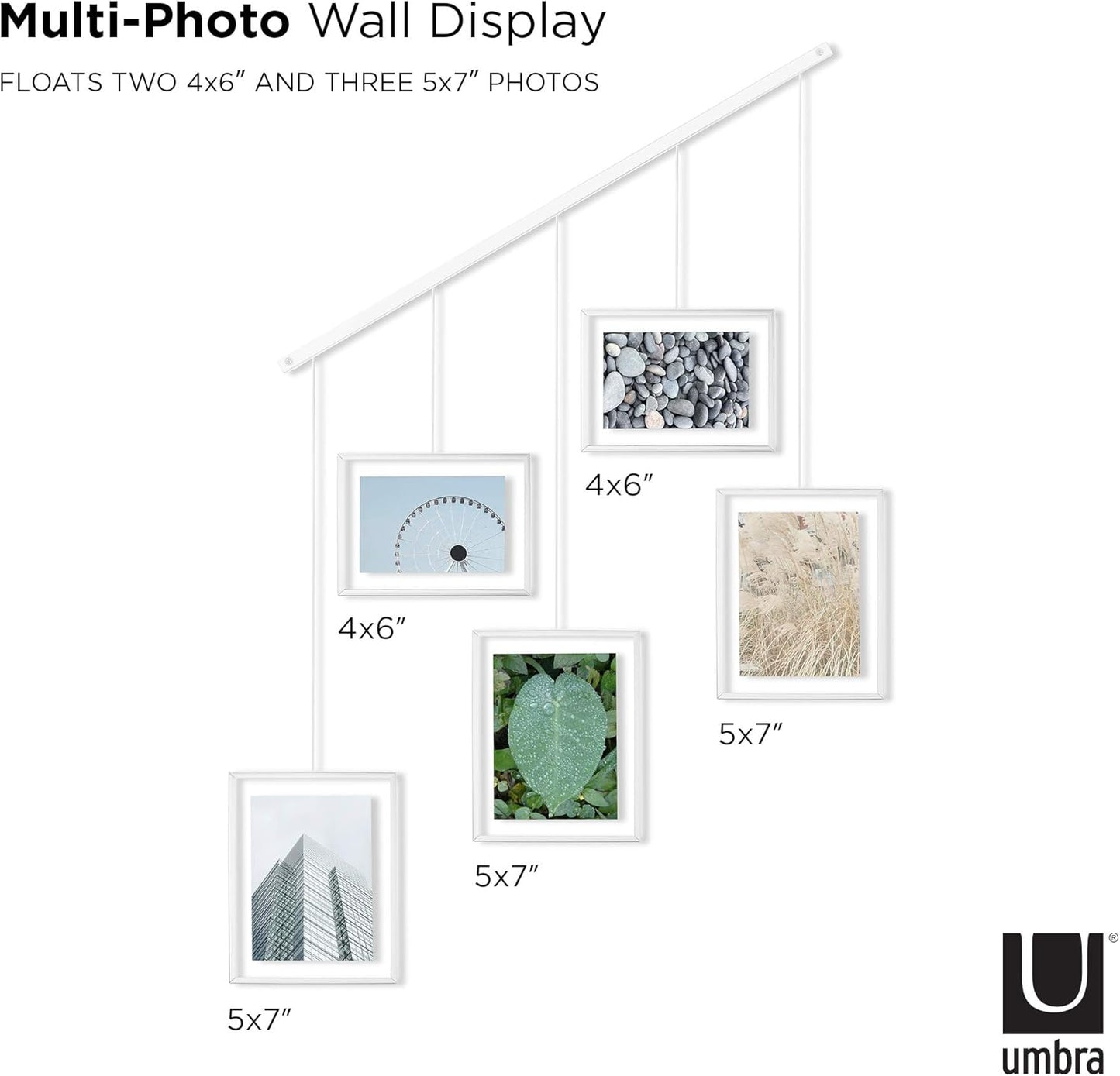 Exhibit Photo Display (5 Photos) - White