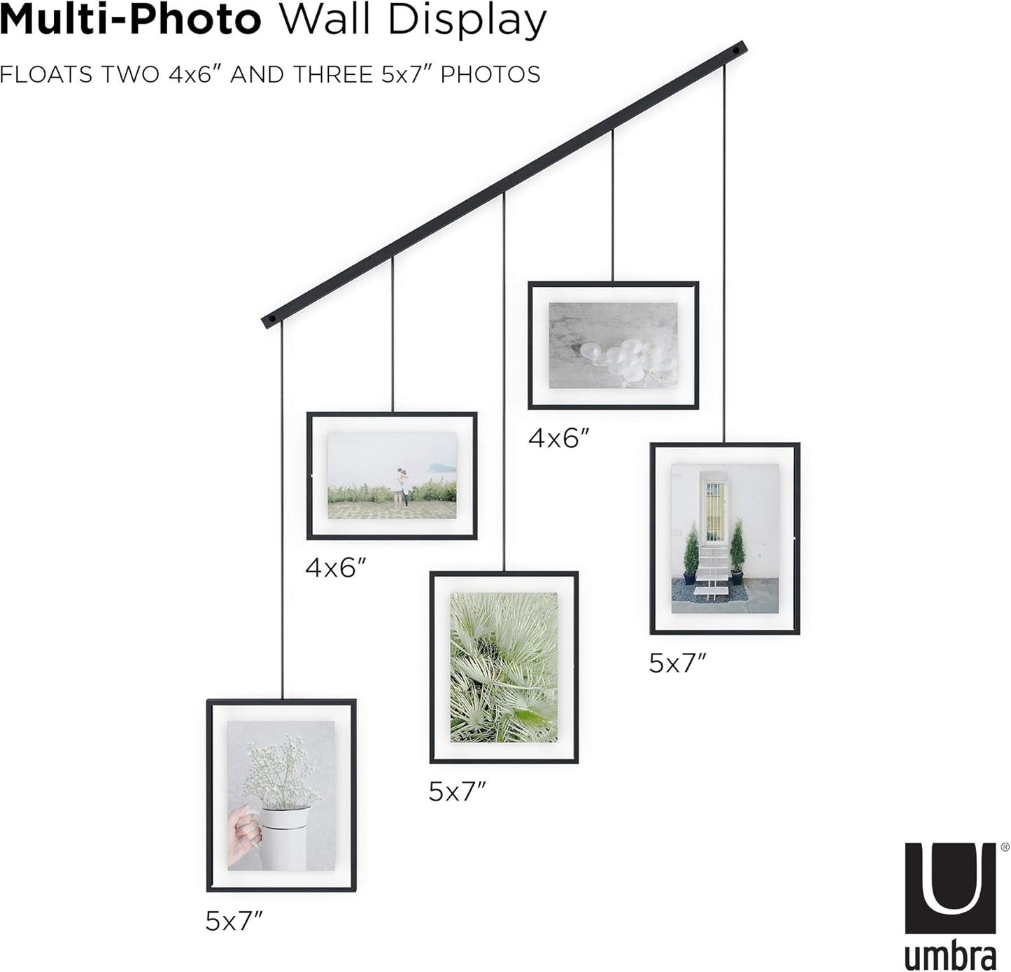 Exhibit Photo Display (5 Photos) - Black