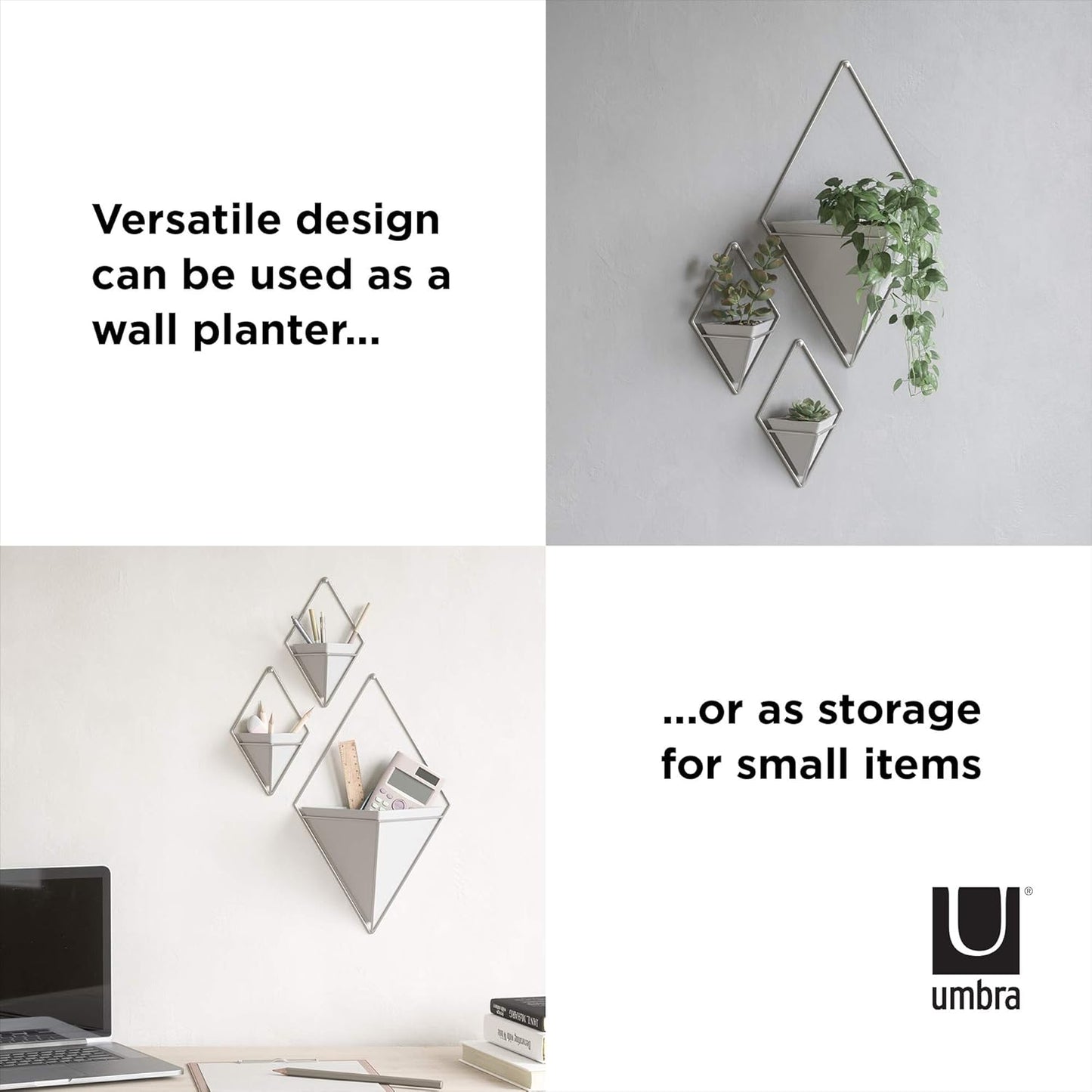 Trigg Wall Display - White/Nickel