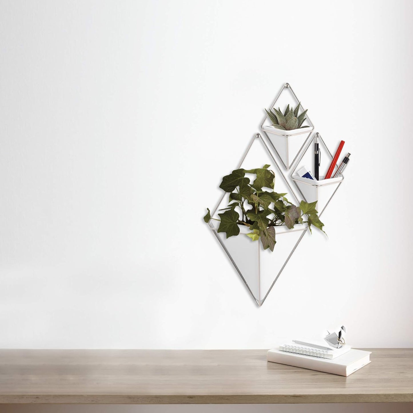 Trigg Wall Display (Set of 2) - White/Brass