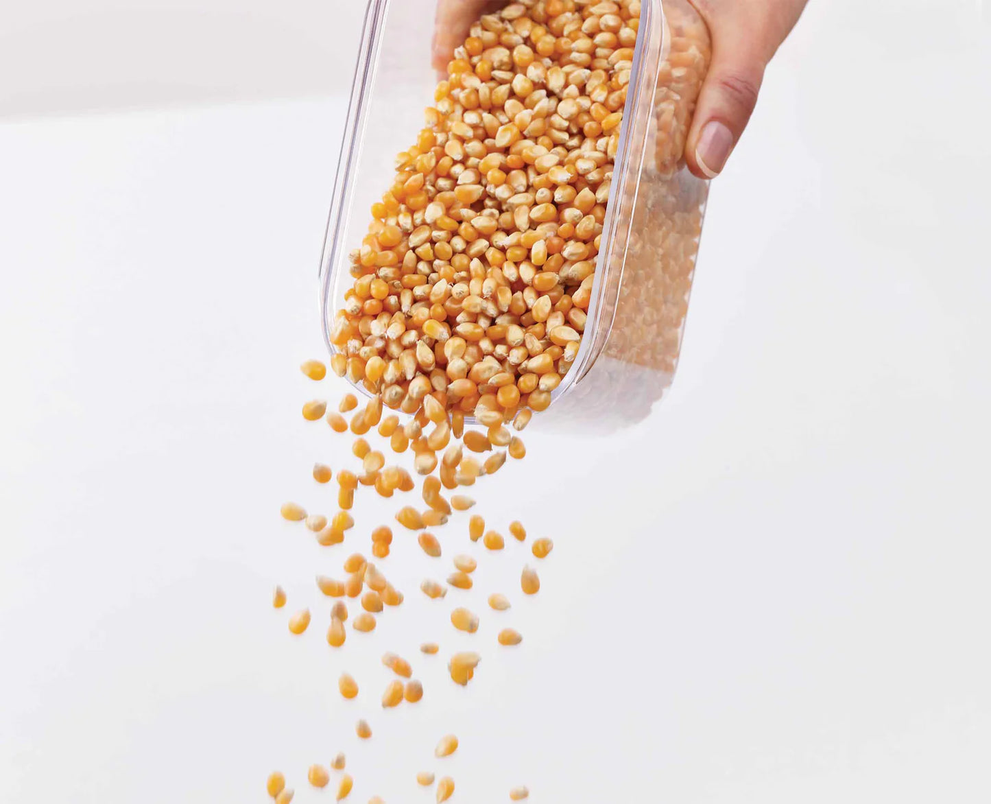 CupboardStore Under-Shelf Storage 1.3L Container Set