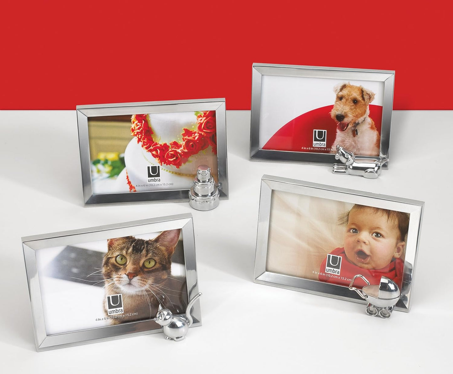 Memoire Cat Frame 4"x6" - Chrome