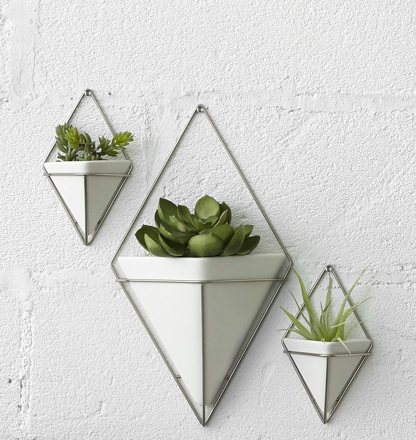 Trigg Wall Display - White/Nickel