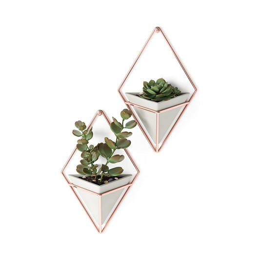 Trigg Wall Display (Set of 2) Small Concrete/Copper