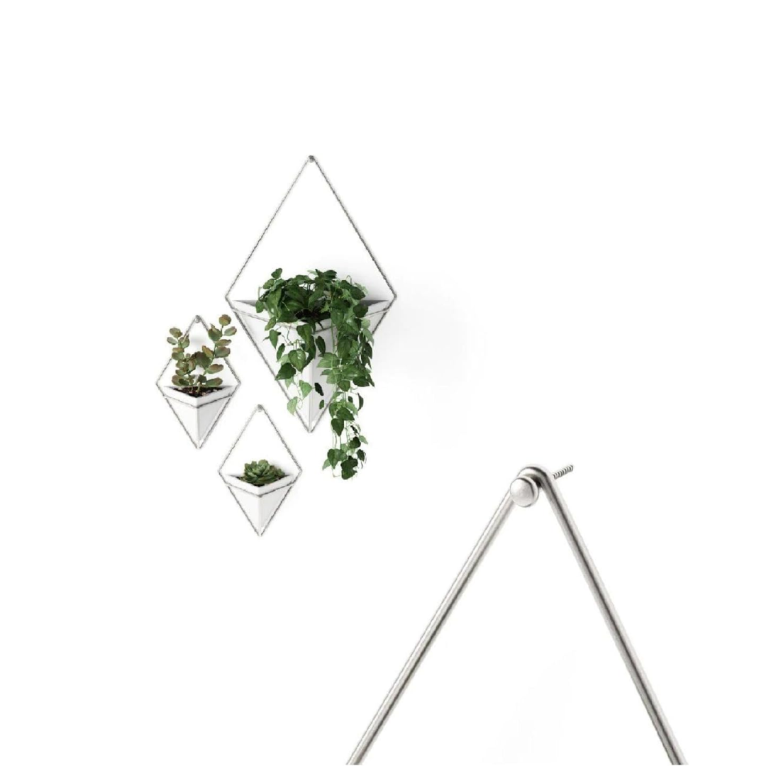 Trigg Wall Display (Set of 2) - White/Nickel