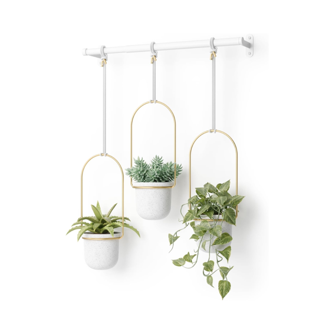 Triflora Hanging Planter (Set of 3) - White/Brass