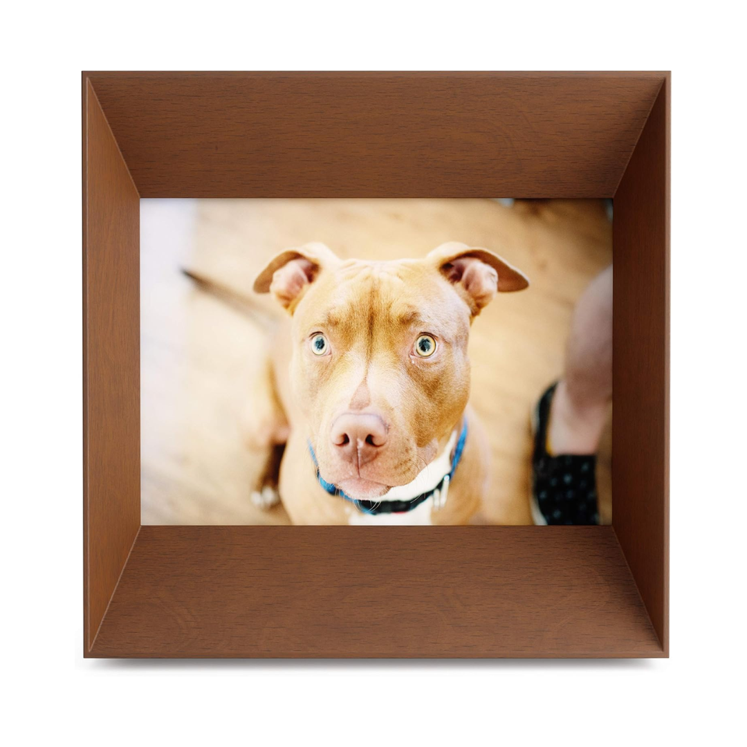 Lookout Wall Photo Display 5x7" - Light Walnut