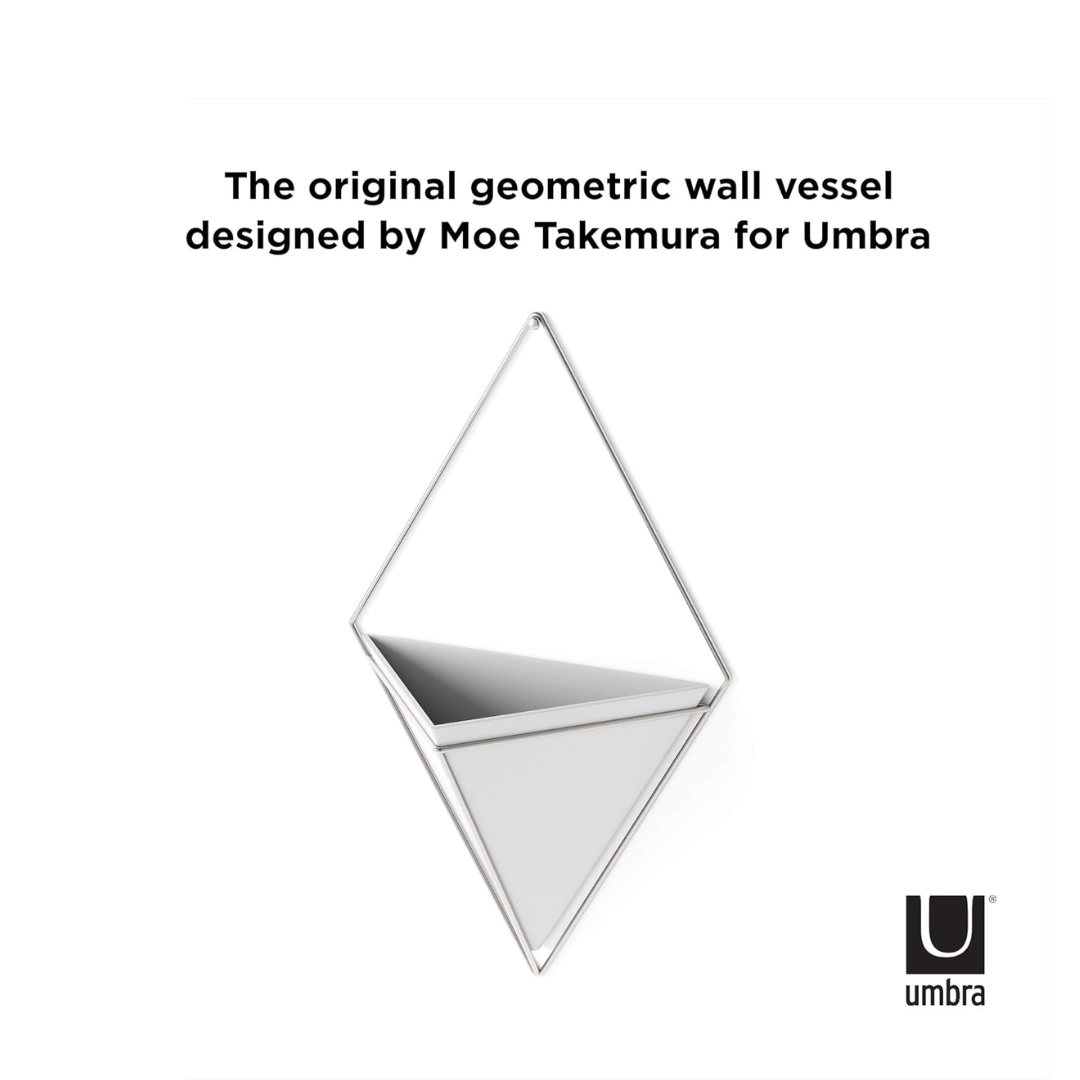 Trigg Wall Display - White/Nickel