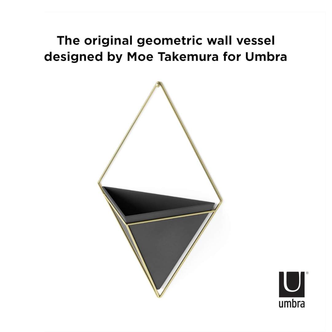 Trigg Wall Display - Black/Brass