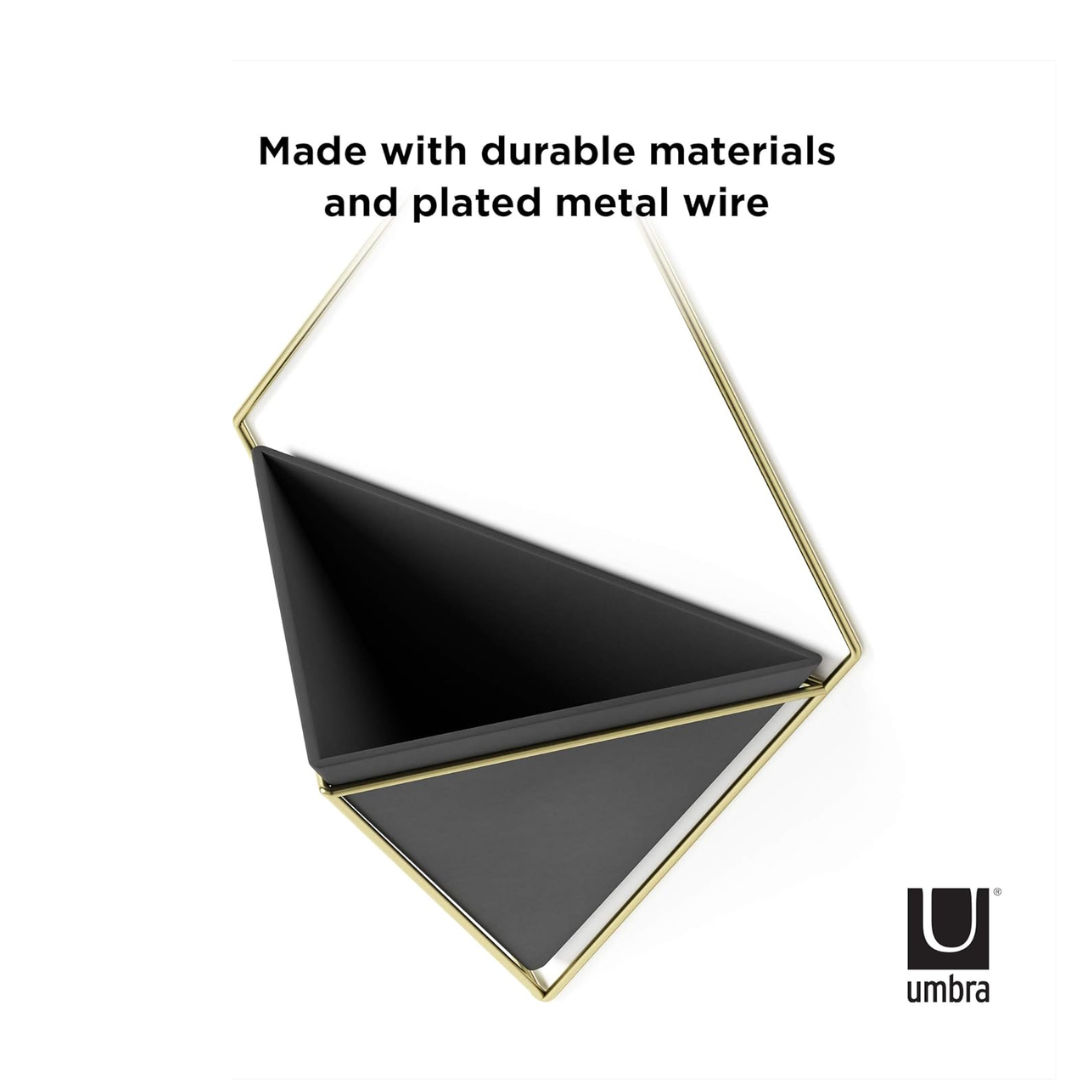 Trigg Wall Display - Black/Brass