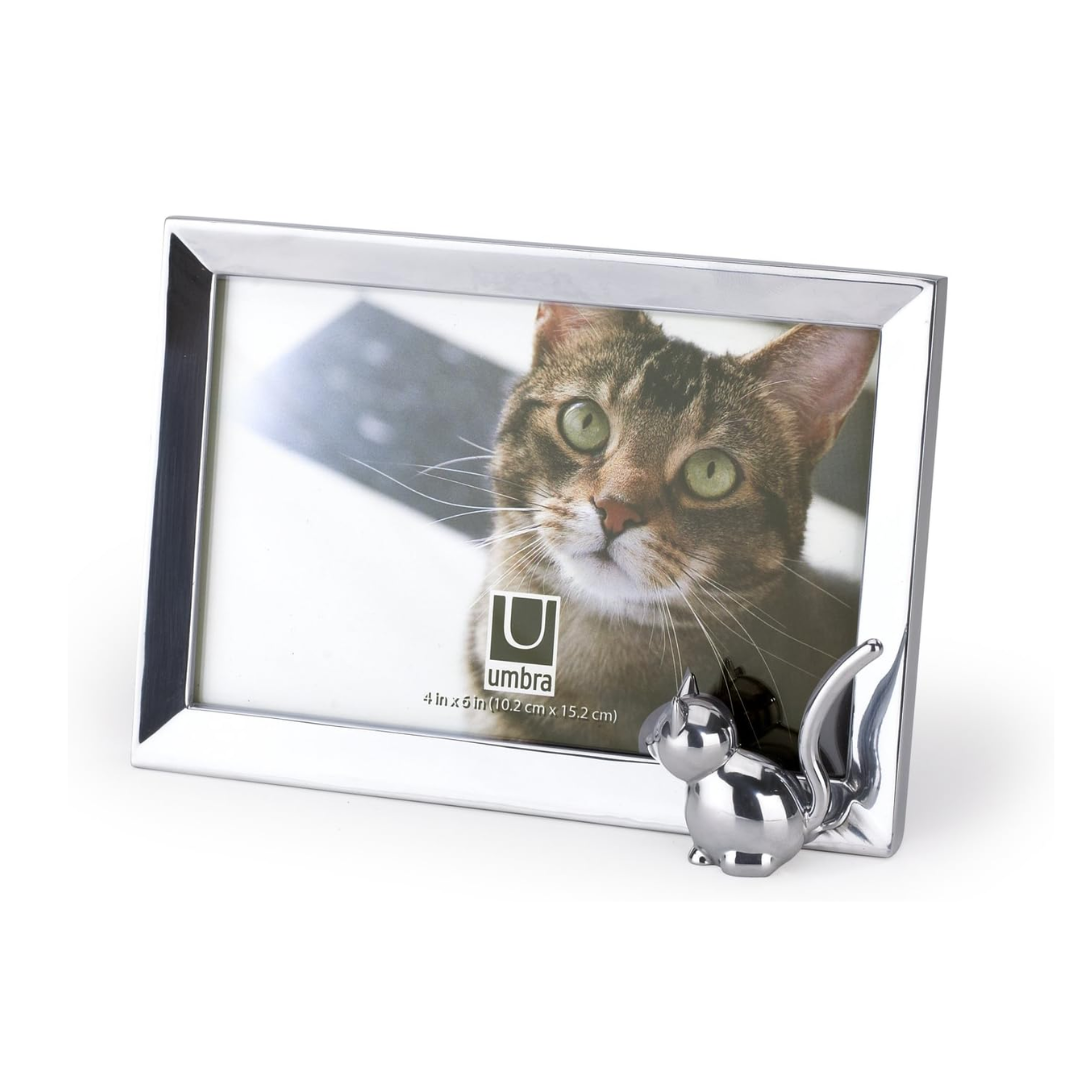 Memoire Cat Frame 4"x6" - Chrome
