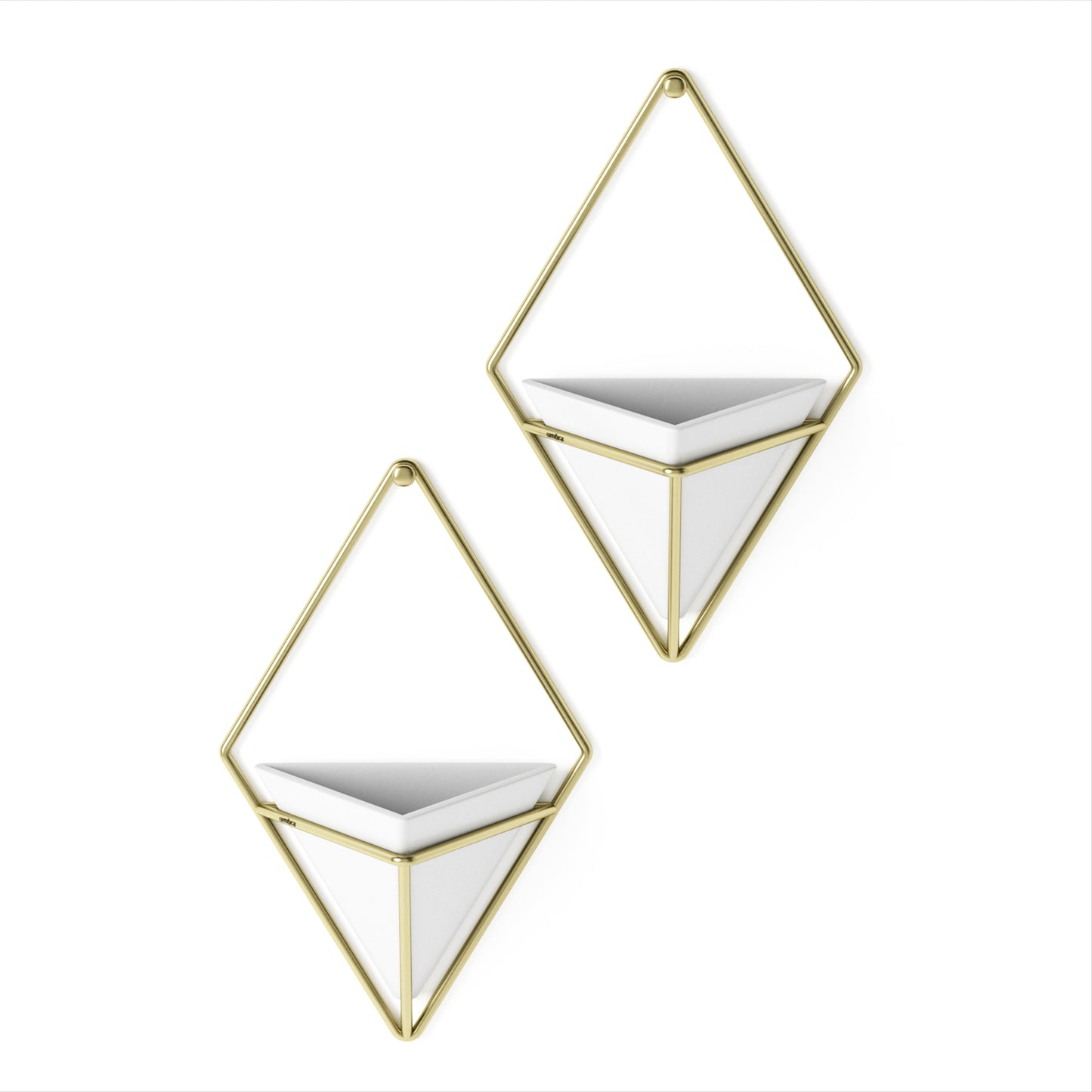 Trigg Wall Display (Set of 2) - White/Brass