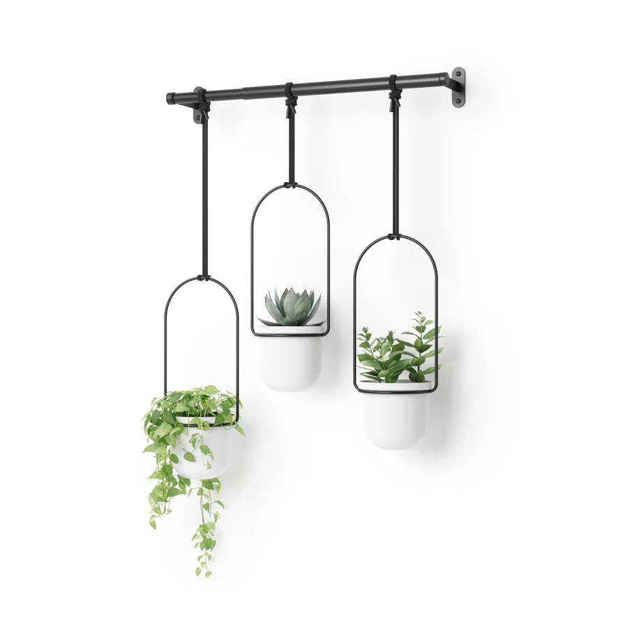 Triflora Hanging Planter (Set of 3) - White/Black