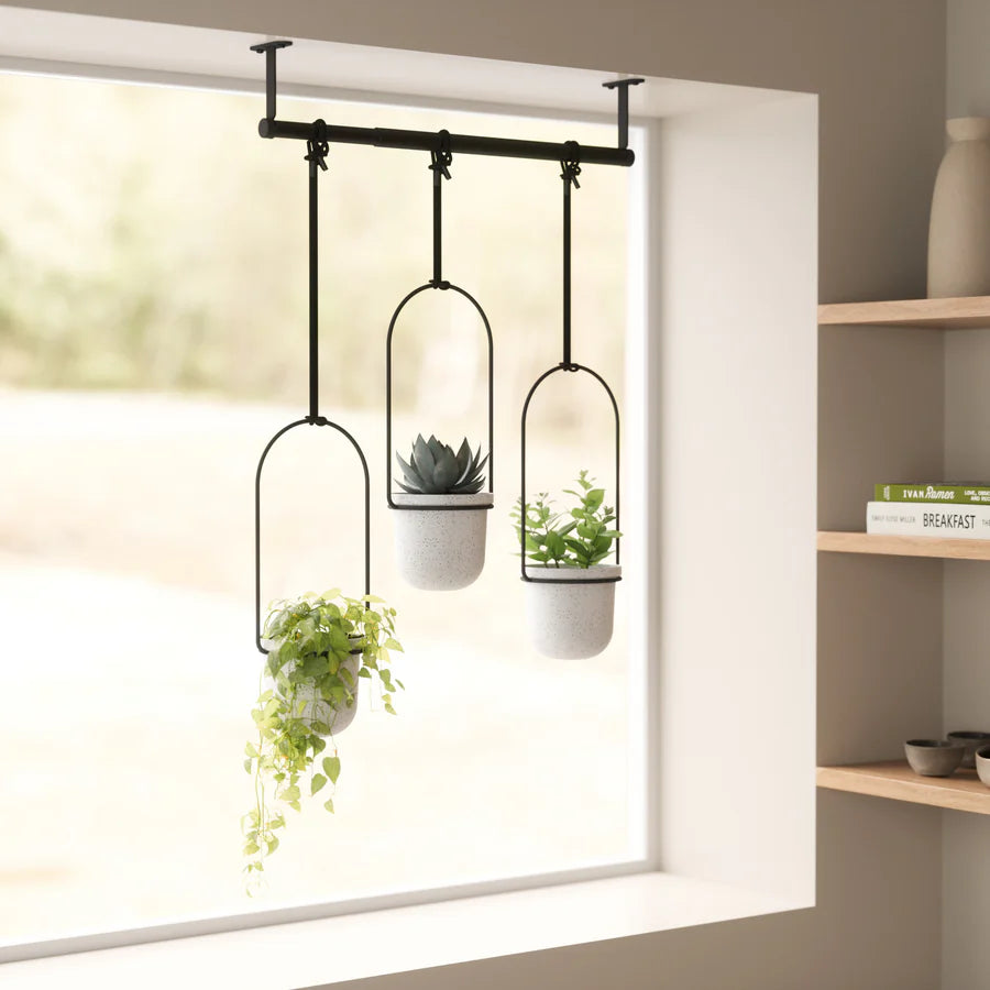 Triflora Hanging Planter (Set of 3) - White/Black